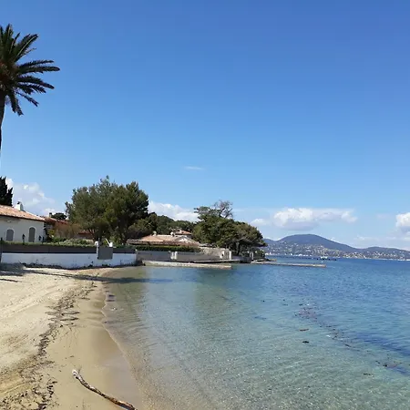 Les Lavandes 2016 Vue Grimaud