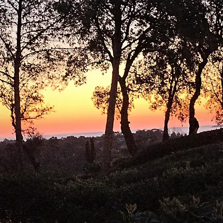 Apartmán Les Lavandes 2016 Vue Grimaud